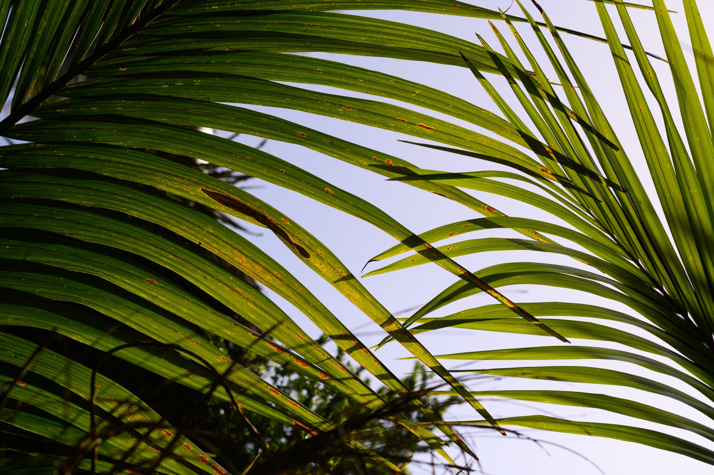 Hochzeiten & Familiengeschichten - Blog Tanja Engelhardt Fotografie München